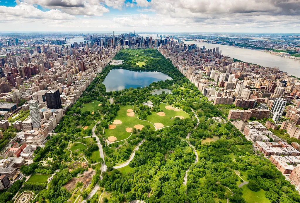 New York mental health services